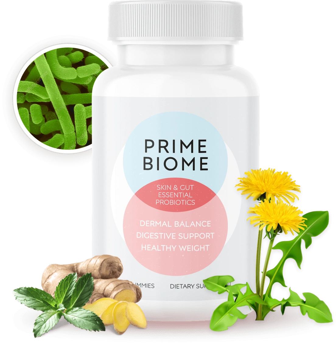 primebiome 1 Bottle